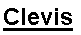 Text Box: Clevis